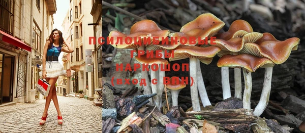 гидропоника Кодинск