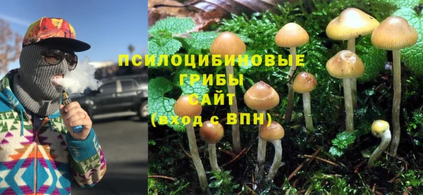 PSILOCYBIN Козельск