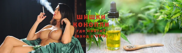 PSILOCYBIN Козельск