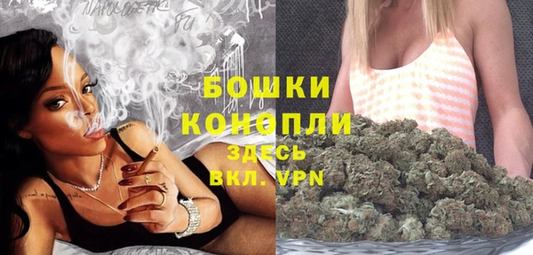 PSILOCYBIN Козельск
