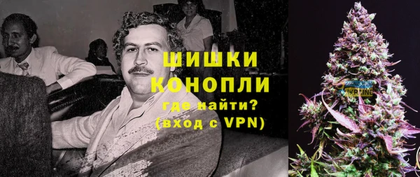 PSILOCYBIN Козельск