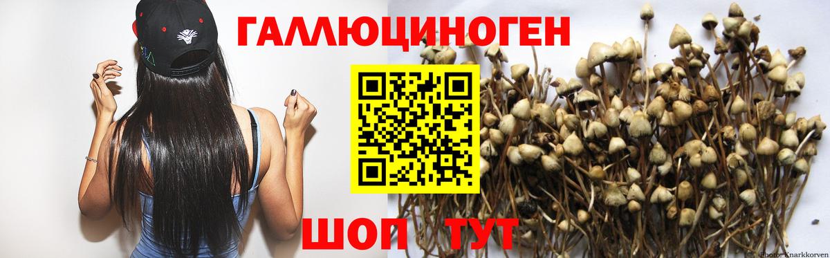 наркота  Галлюциногенные грибы мухоморы  Вход с VPN  Волгодонск 