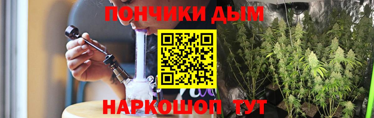 Канабис конопля  Волгодонск  Бошки марихуана план  Канабис марихуана 